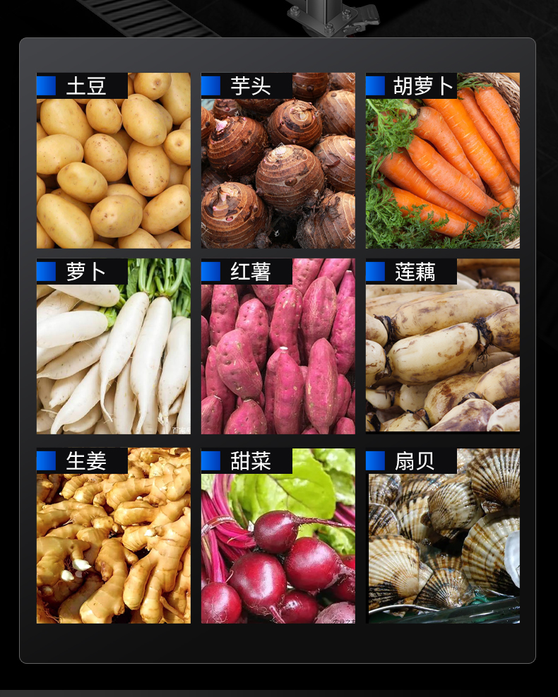 毛刷去皮機適用蔬菜